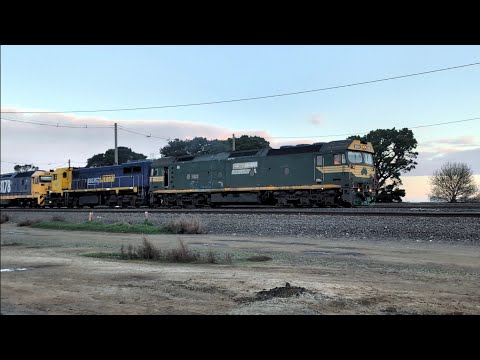 Pacific National G523 X50 8178 9711V Grain train Tottenham