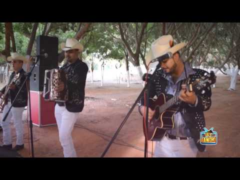 El Burrero Culon  - En Vivo 2017 - Los Alameños De La Sierra