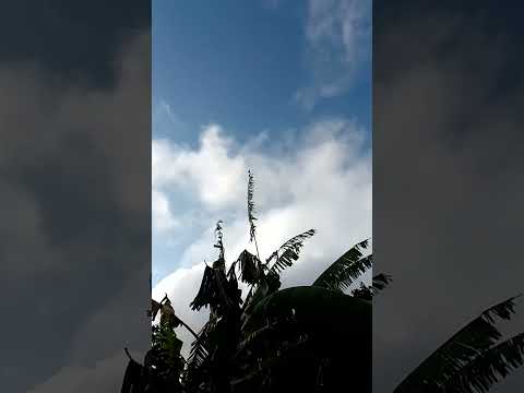 BOM DIA DE BENÇÃOS 🌧️ CÉLULA RENASCER MACAMBIRA SERGIPE 💚 VEM RENASCER 💚