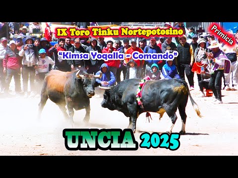 IX Toro Tinku Norte Potosino UNCIA 2025 T10, "K.Yoqalla-Comando". (Video Oficial) de ALPRO BO.