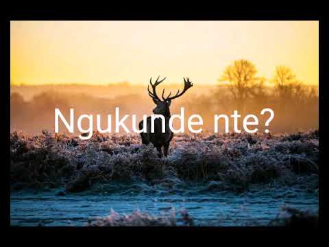 Karahanyuze (Ngukunde nte by Randeresi Landouard)
