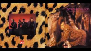 Dead Or Alive -Absolutely Nothing (Dub) -1984 Electro