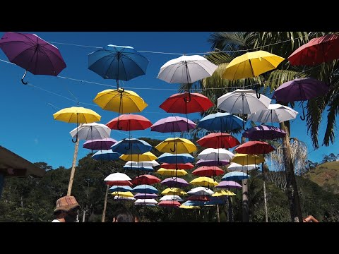 Circuito Amparo de Turismo Rural é destaque em Nova Friburgo