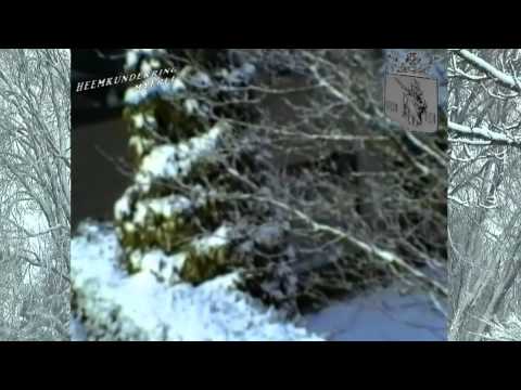 Winter in Mierlo.1991,Foto's en film.