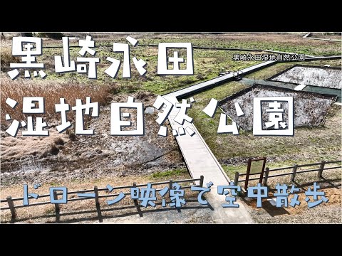 黒崎永田湿地自然公園～ドローン映像で空中散歩～