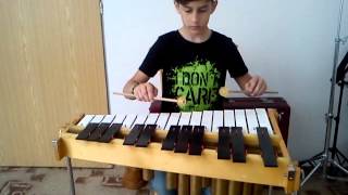 Daniel Curylo - Harry Potter - téma Hedviky na metalofon