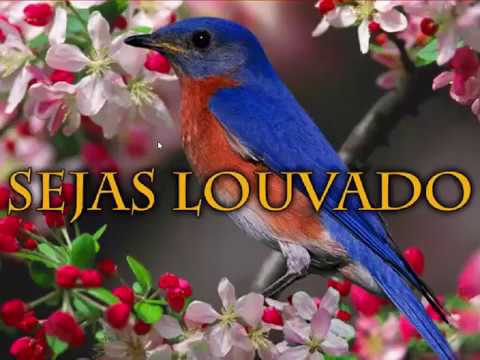 Hino adventista nº 007 Sejas Louvado