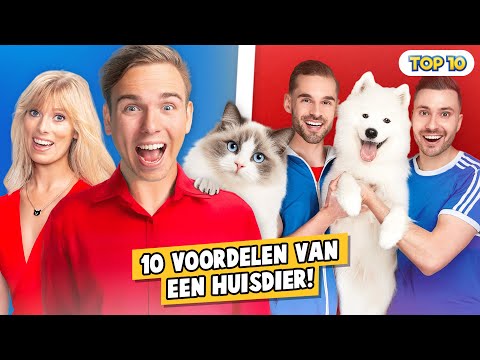 10 VOORDELEN VAN EEN HUISDIER!