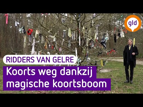Knoop een lapje in deze boom en weg is je koorts! | Ridders van Gelre