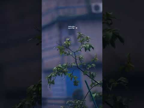 Piriyadhey Maravadhey song whatsapp status | Sita Ramam status | Madhan Karky