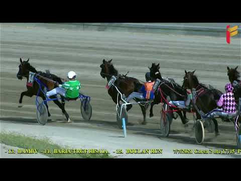 II Corsa   Premio Bird Island del 7 Luglio 2021   Metri 1600   4 Anni