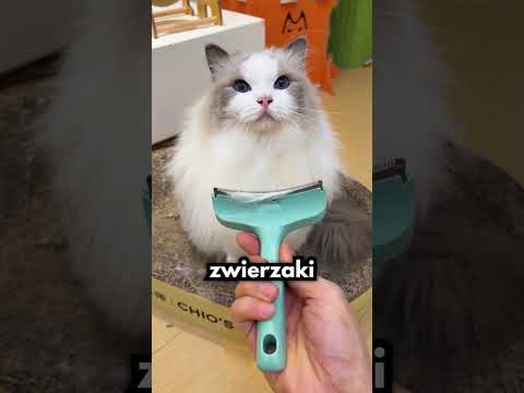 Pozbierał Pamiątkę Po Wszystkich Członkach Rodziny…😭❤️