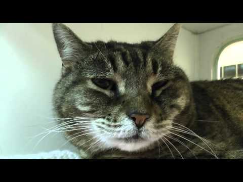 Little Girl has a big heart!