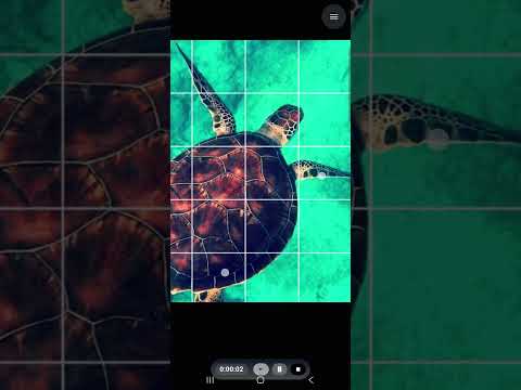 Drawing Grid video thumbnail