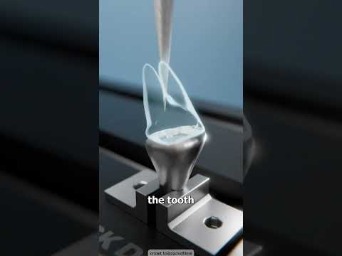 What Happens When A Military Dog Breaks A Tooth 🤔