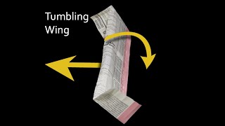 Tumbling Wing