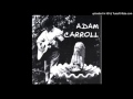 Adam Carroll -  Silver Lakeside