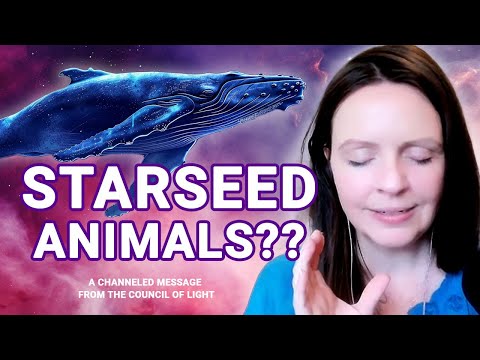 Starseed Animals EXPLAINED: Cosmic Whales, Dolphins, Mermaids & Water Beings
