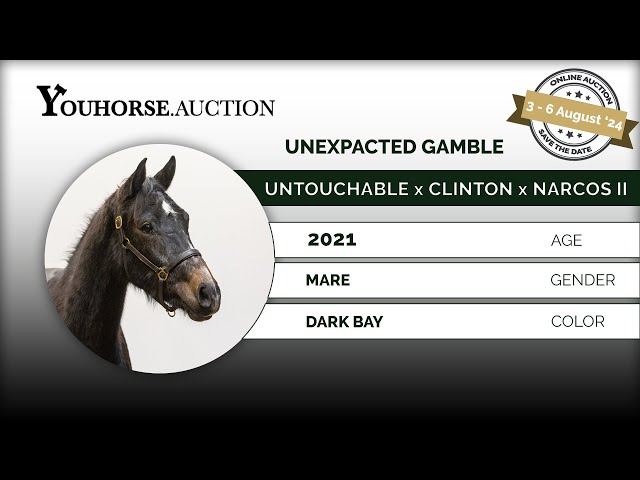An Unexpected Gamble