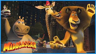 Download lagu Madagascar Legendary Moments!⭐️🦁 | DreamWorks Madagascar mp3