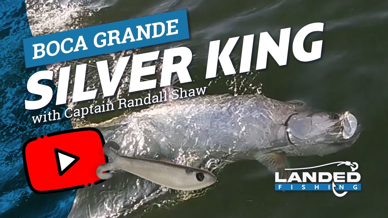Tarpon Fishing Boca Grande Florida EP 7