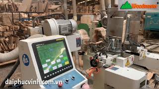 WOODMASTER. MÁY PHAY MỘNG DƯƠNG 2 Đầu Cnc cao tốc giá rẻ nhất thị trường 2020
