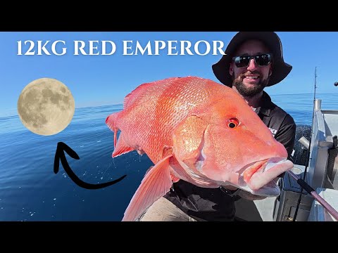 48 HR NORTH TRIP - 12+KG RED EMPEROR - HOW TO CATCH CORAL TROUT IN SHALLOWS