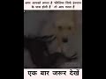Tere Jaisa Yaar Kaha In Dog