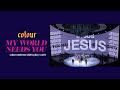 My World Needs You Colour Conference 2020 Sydney Item