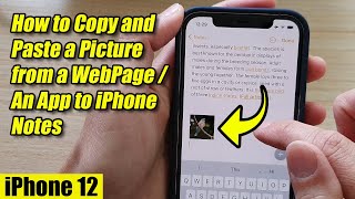 iPhone 12: How to Copy and Paste a Picture from a WebPage / An App to iPhone Notes