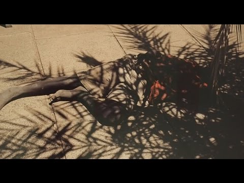 VIVIANE SASSEN – UMBRA Trailer