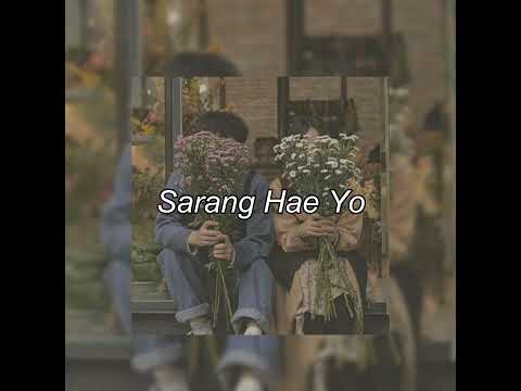 Sarang Hae Yo|| Kim Hyung Sup||My Sassy Girl ost