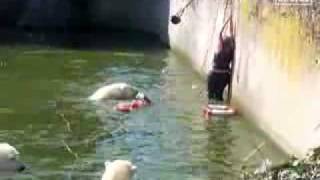 Eminem Ft. Yelawolf, Wiz Khalifa &amp; Royce Da 5&#39;9 - Still I Am