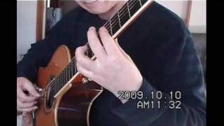 Eleven Small Roaches (Michael Hedges cover)