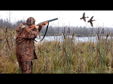 Охота на утку. Открытие весенней охоты 2019 г.