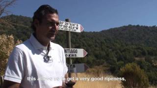 preview picture of video 'Xplorador Winemaker Hector Urzua'