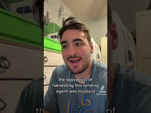 Did you know THIS about mustard? #fyp #til #todayilearned #history