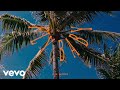 Leon Bridges - Fly Baby (Official Lyric Video)