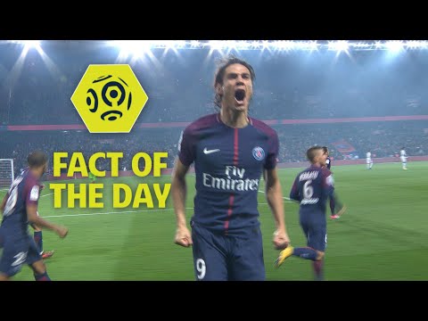 Clinical Cavani at the double against Nice : Week 11 / Ligue 1 Conforama 2017-18
