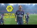 Clinical Cavani at the double against Nice : Week 11 / Ligue 1 Conforama 2017-18