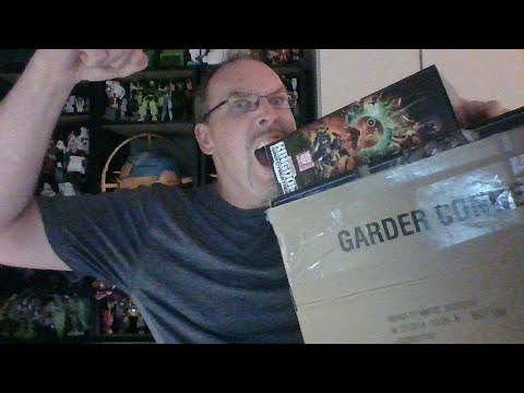 GotBot Goes Live: MP Nightbird(?), Tigatron, Origins Bumblebee, R.E.D. and an Unboxing