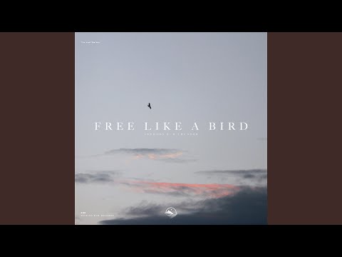 Free Like a Bird