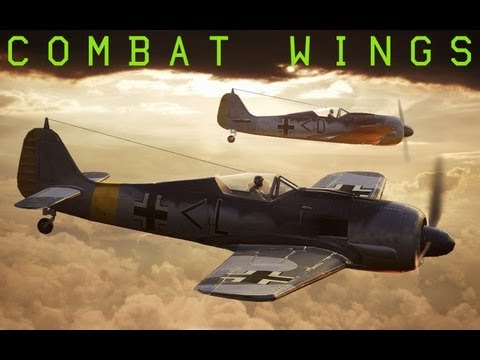 combat wings pc portable español