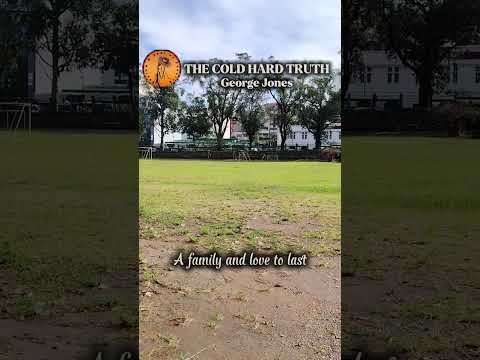 Cold Hard Truth - George Jones