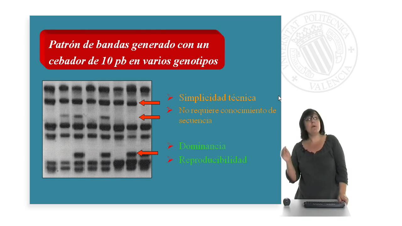 Marcadores moleculares basados en PCR: Marcadores RAPD | 25/95 | UPV