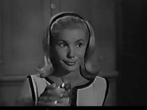 Appointment At Tara Bi