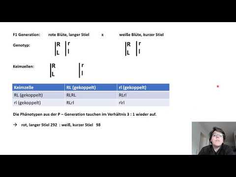 Q11 Übungsaufgabe Genkopplung