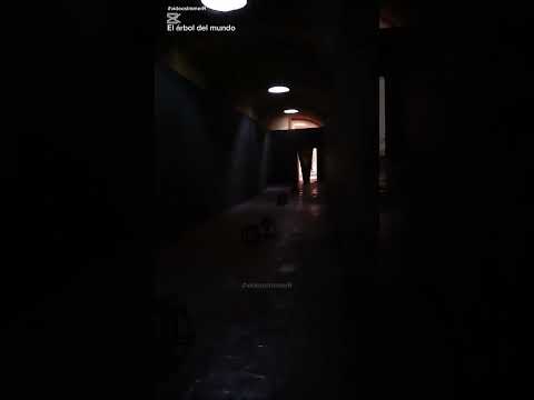 Exposición El Árbol del mundo. Antigua Guatemala