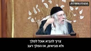 הגה״ח הרב ווכטר שליט״א | לא לתת טרמפ לקליפה (הרב אברהם מנחם מענדל וכטר) - התמונה מוצגת ישירות מתוך אתר האינטרנט יוטיוב. זכויות היוצרים בתמונה שייכות ליוצרה. קישור קרדיט למקור התוכן נמצא בתוך דף הסרטון