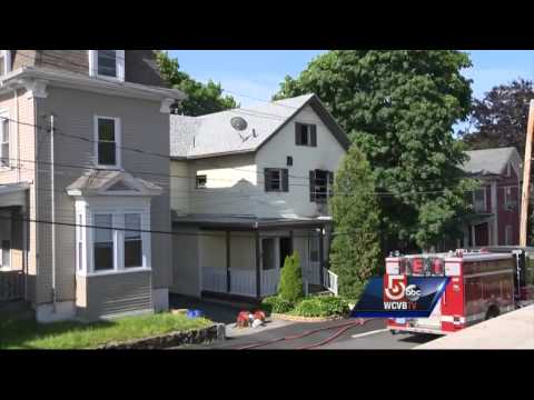 Hundreds of pot plants found after fire